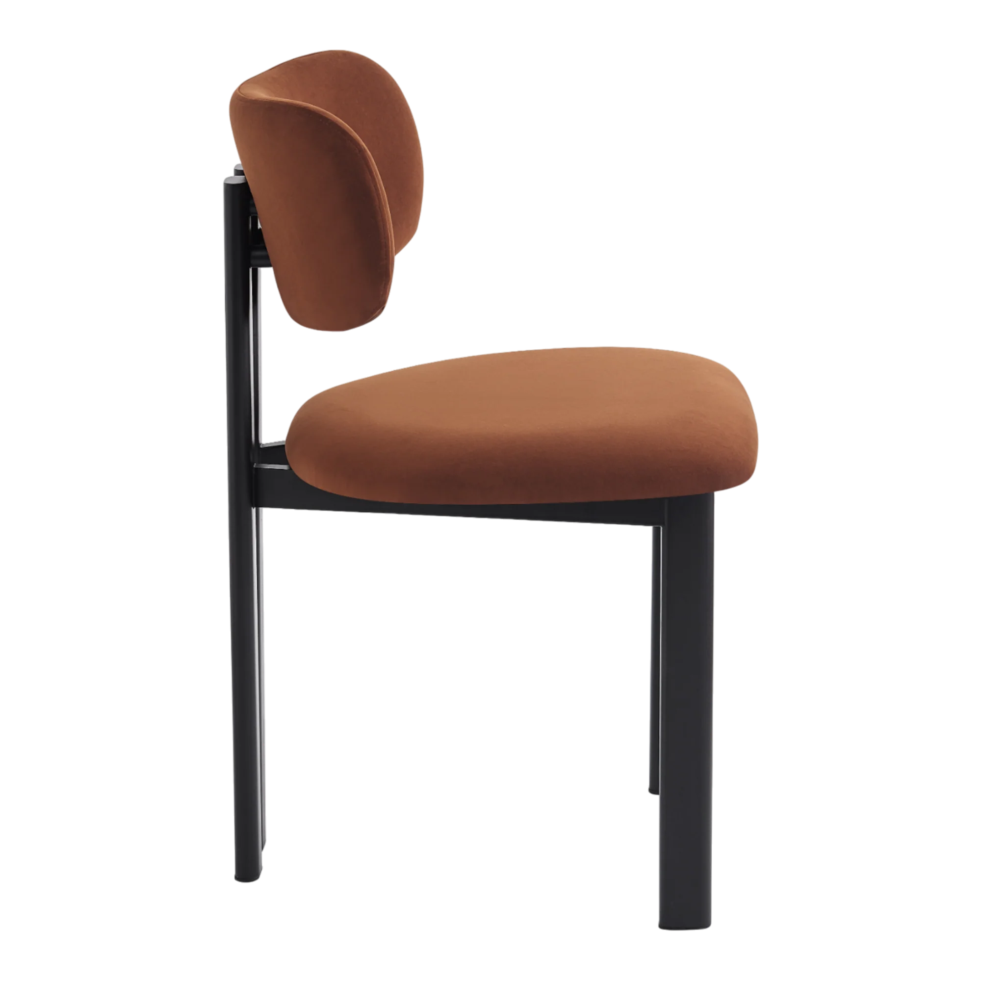 Farinelli Dining Chair Toffee - Image 3