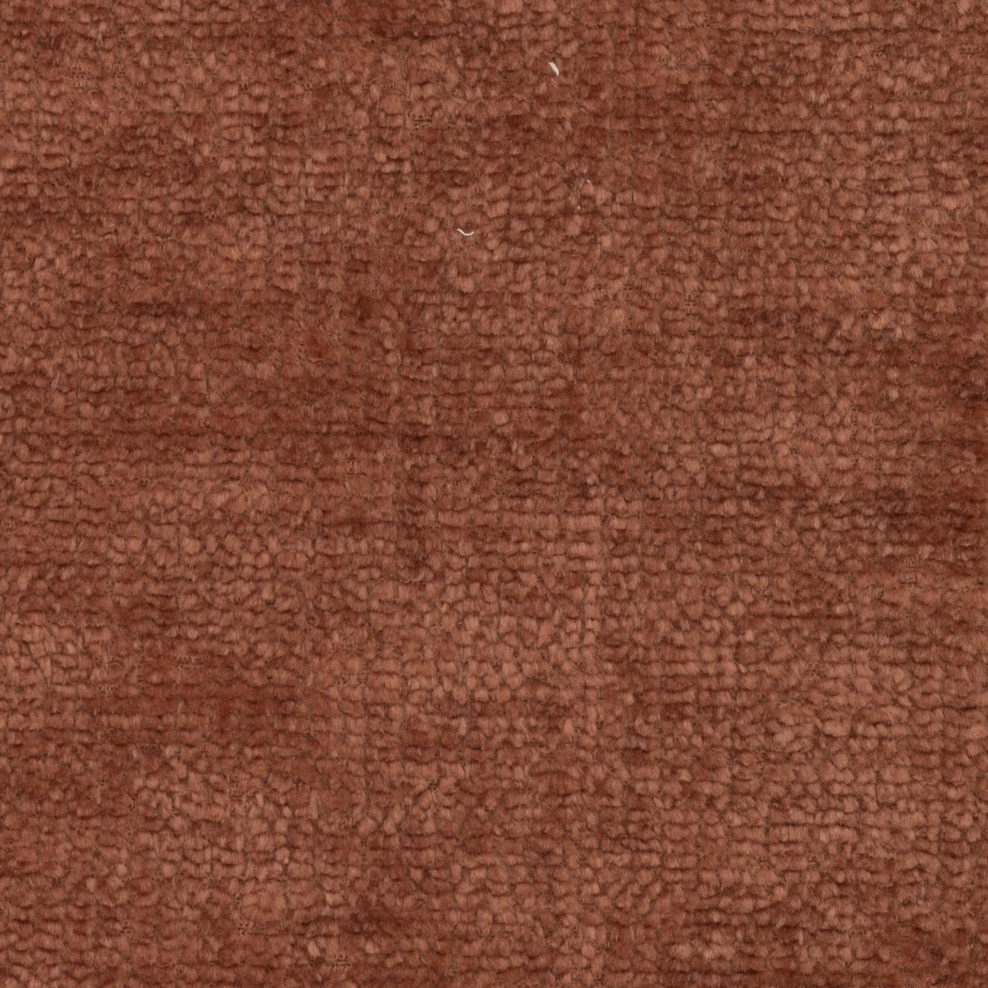 Profile Dining Chair Burnt Orange - Image 7